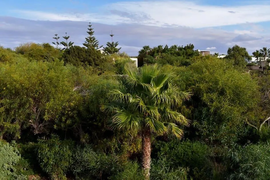 Cactus Bleu Villa Sur Le Golf De Mogador As-Suwajra